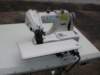 rmt132391_small.jpg