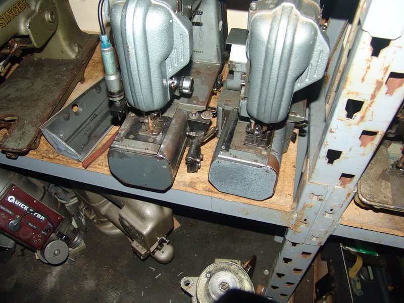 msv251091.jpg