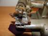 str10237kbp_small.jpg