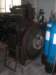 msv43_small.jpg