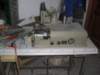 msv79_small.jpg