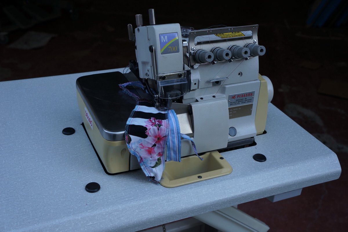 pegasus16165004.jpg